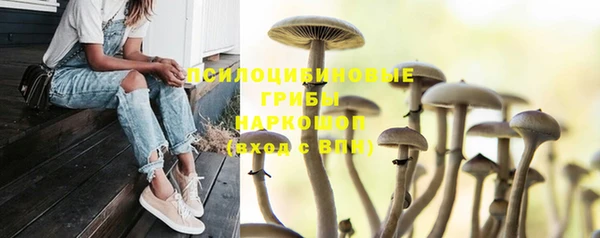 мяу мяу мука Дмитров