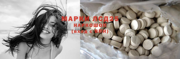мяу мяу мука Дмитров
