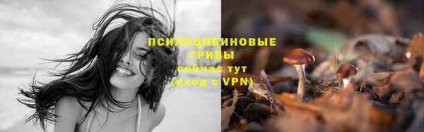 мяу мяу мука Дмитров