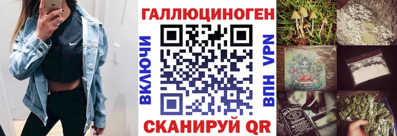 как найти закладки  Зубцов  Псилоцибиновые грибы Psilocybine cubensis 